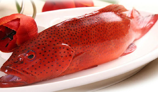 HK Grouper (Whole Fish - Cutted & Cleaned) 东星斑(整条已处理)