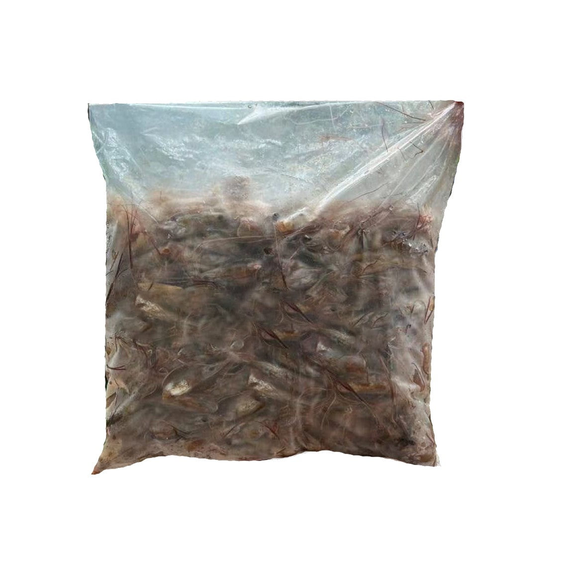 Frozen Sea Prawn Head 冷冻虾头 1kg±