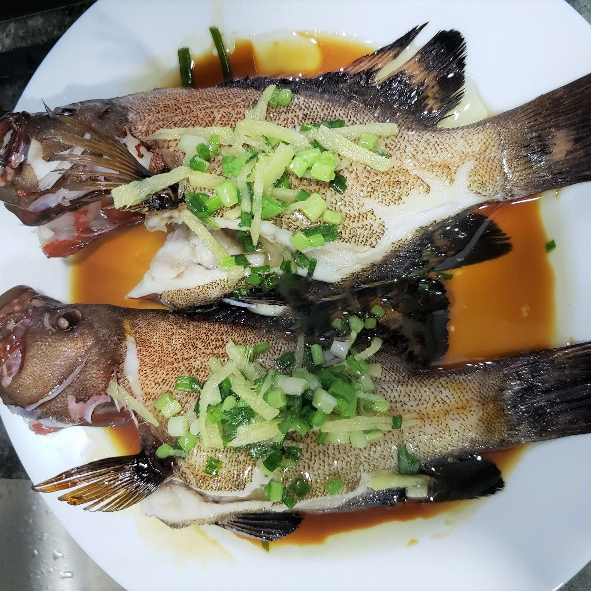 Sabah Black Speckled Grouper 沙巴黑瓜子斑 (Whole Fish)