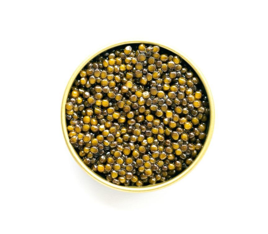 Kaluga Hybrid Caviar 卡露伽鱼子酱 28.4g