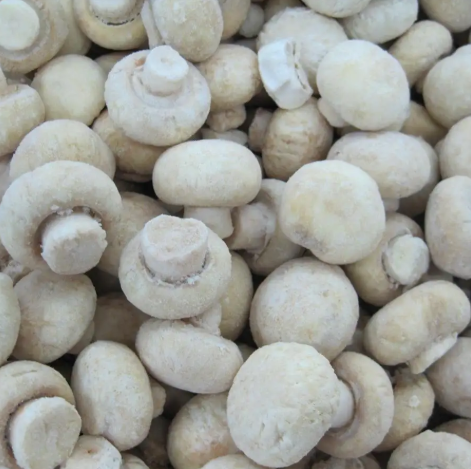 Frozen Champignon 冷冻香菇(白) 1kg±