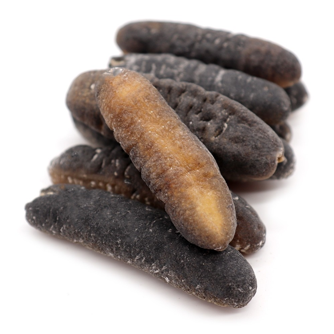 South Afrika Sea Cucumber 南非猪婆参