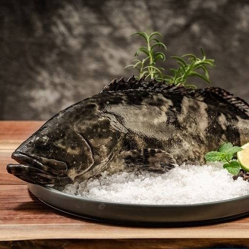 Hybrid Grouper 龙虎斑 (Sabah Whole FIsh)