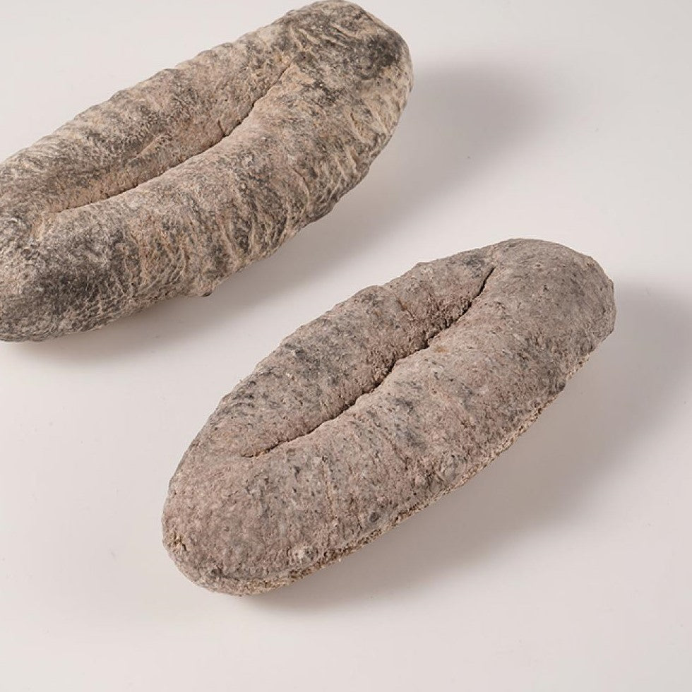 South Afrika Sea Cucumber 南非猪婆参