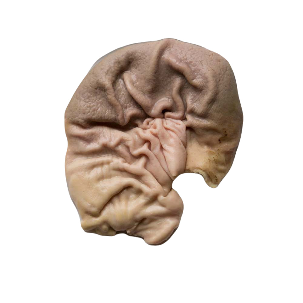 Pork Stomach 猪肚 (Washed)