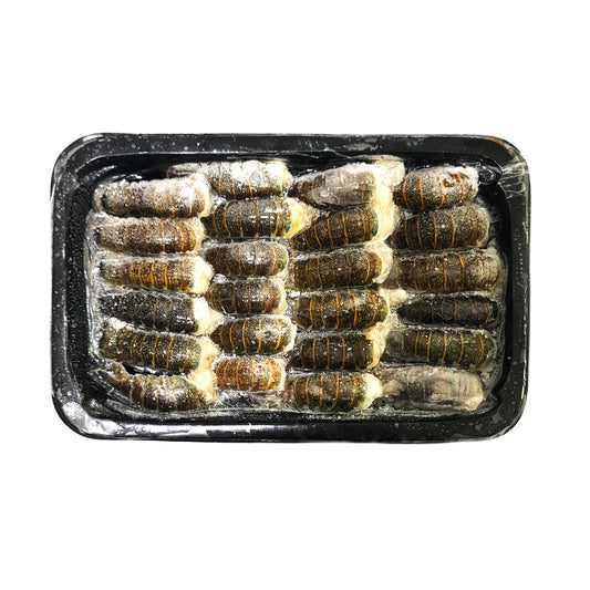 Baby Lobster Tail (Headless) 小龙虾尾 200g