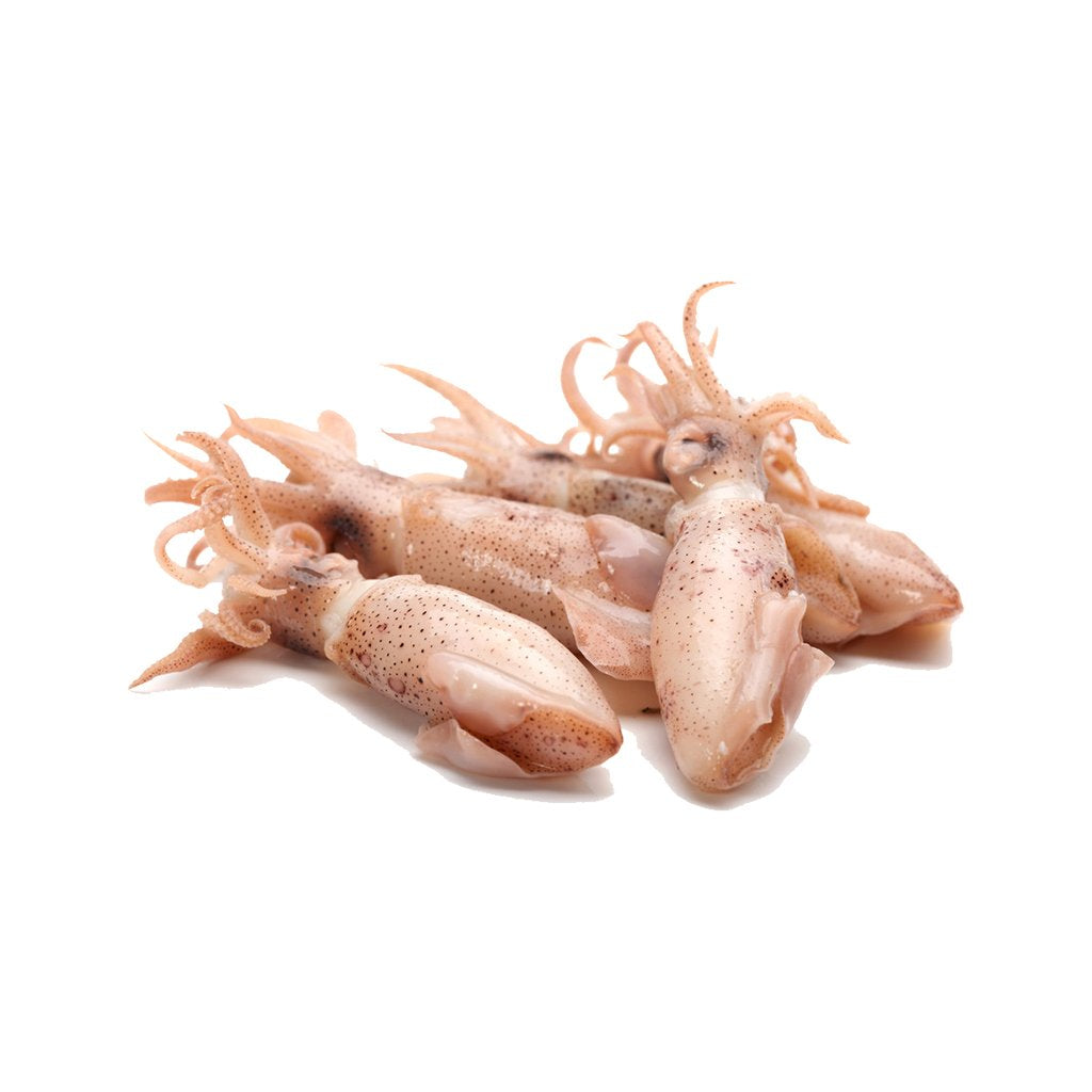 Baby Sotong 苏东仔 500g