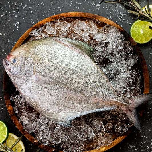 Black Pomfret 黑鲳 (Whole Fish)