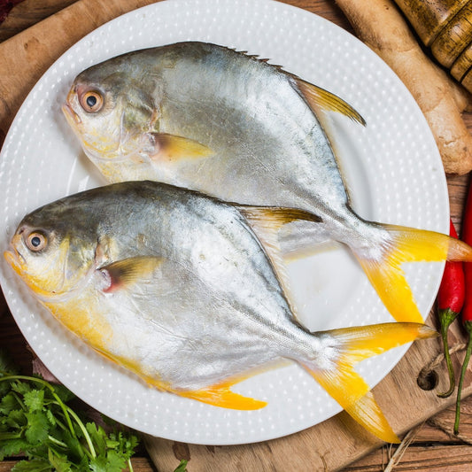 Golden Pomfret 金鲳 (Whole Fish)