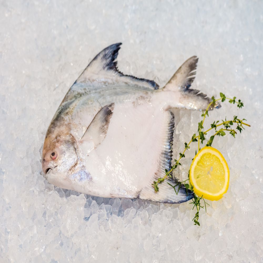 Local Chinese Pomfret 本地斗鲳 (Whole Fish)