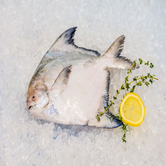Local Chinese Pomfret 本地斗鲳 (Whole Fish)