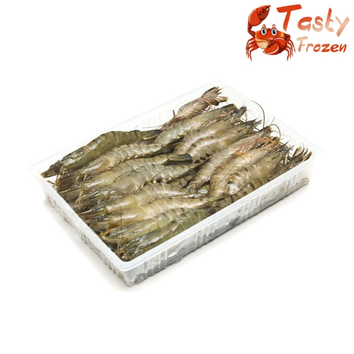 Tiger Prawn 老虎虾 1kg