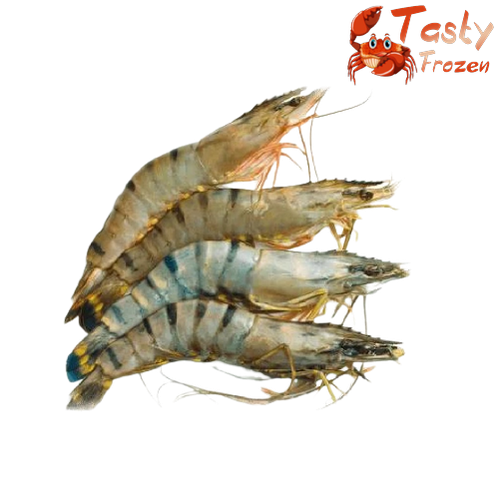 Tiger Prawn 老虎虾 1kg