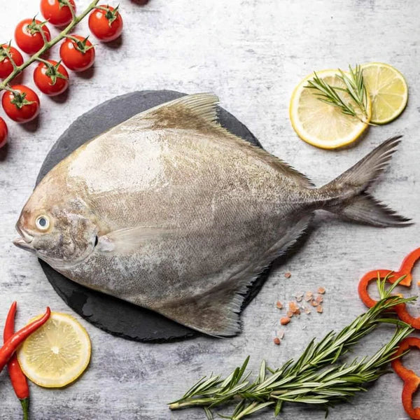 Black Pomfret 黑鲳 (Whole Fish)