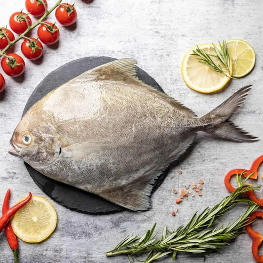 Black Pomfret 黑鲳 (Whole Fish)