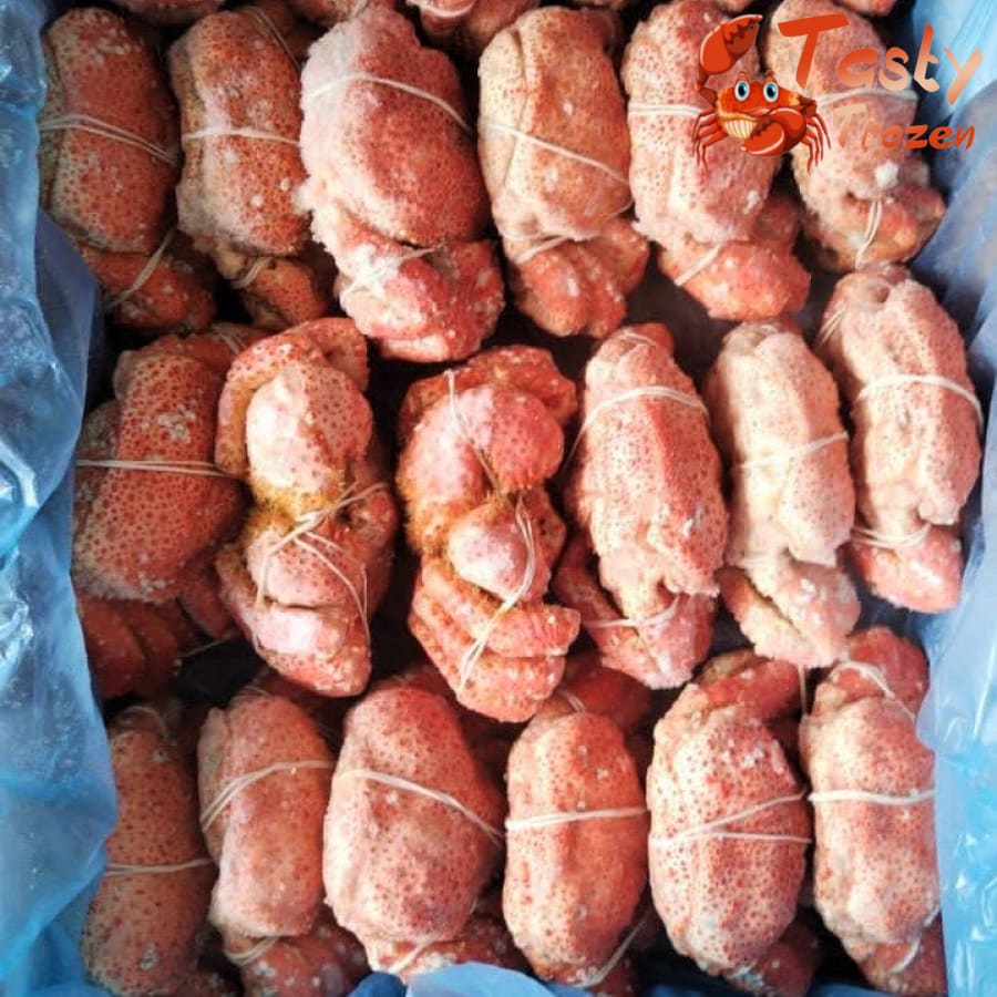 Chilean Snow Crab (400-600G) Fresh & Frozen Seafood