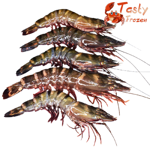 Deep Sea Huge Tiger Prawn 深海大老虎虾 1 block
