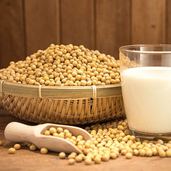 Soy Milk 醇香豆浆 (2packs)