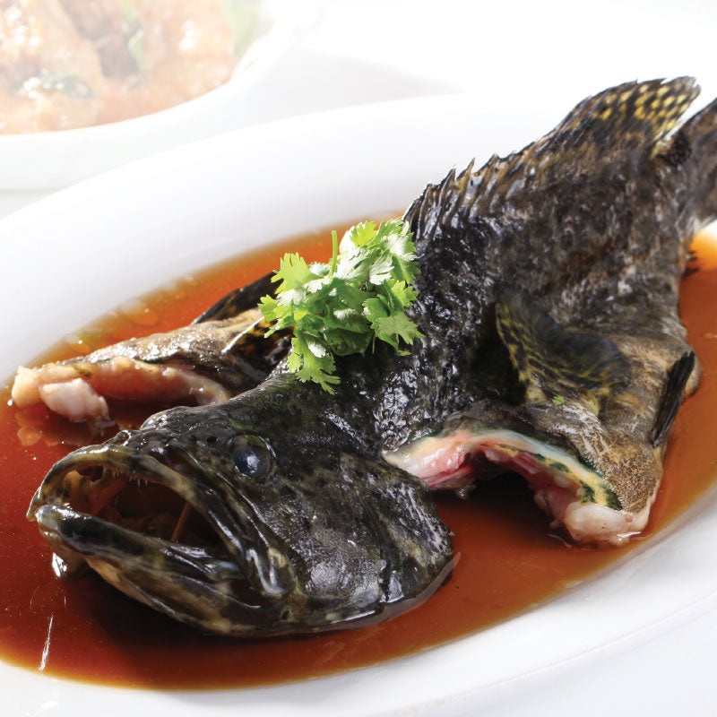 Dragon Tiger Grouper (Hybrid Grouper) 龙虎斑 (Whole Fish)