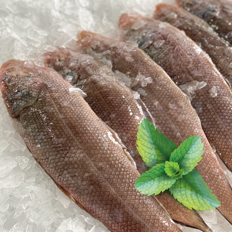 Tongue Fish 龙舌鱼 700g