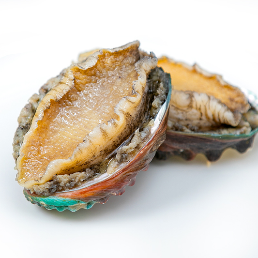 Frozen Abalone With Shell 带壳冷冻鲍鱼 (12pcs)