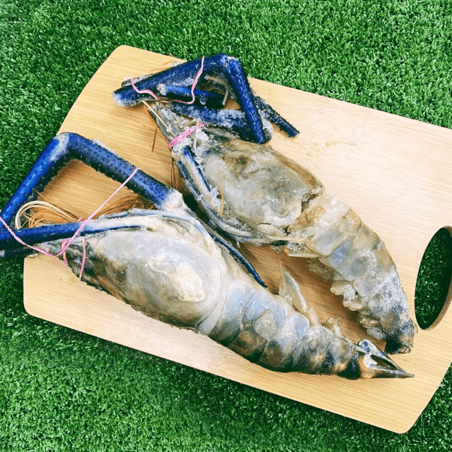 Frozen Scampi 大头虾 (U5 Grade) 200-300g