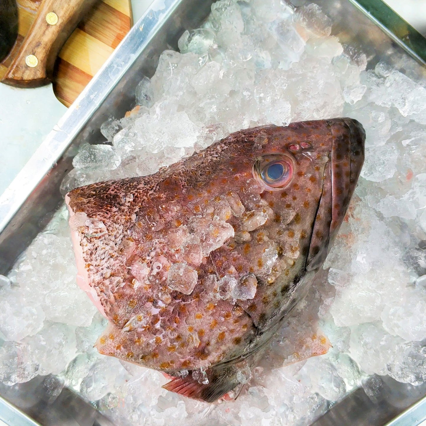 Local Grouper Parts 本地石斑鱼部位