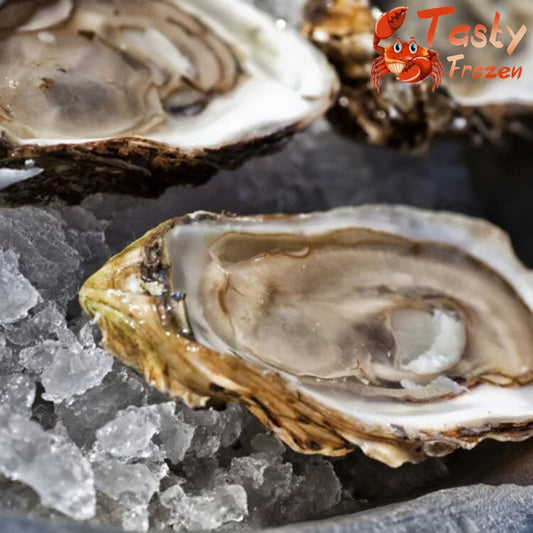 Half Shell Oyster 半壳生蚝 12pcs