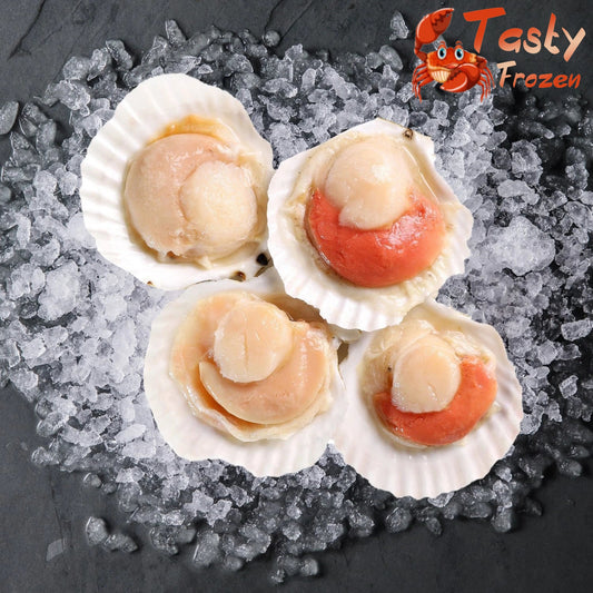 Half Shell Scallop 半壳大扇贝 1kg