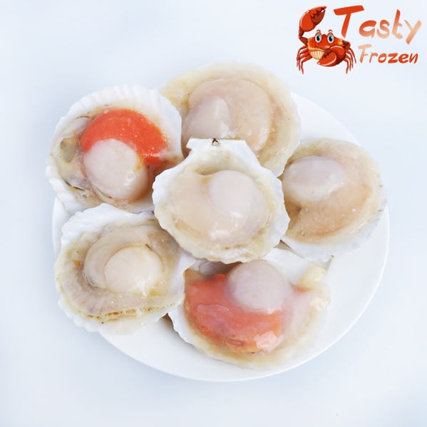 Half Shell Scallop 半壳大扇贝 1kg