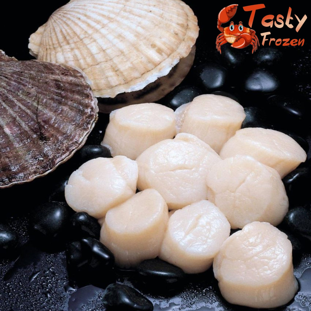 Hokkaido Scallop Meat 北海道带子