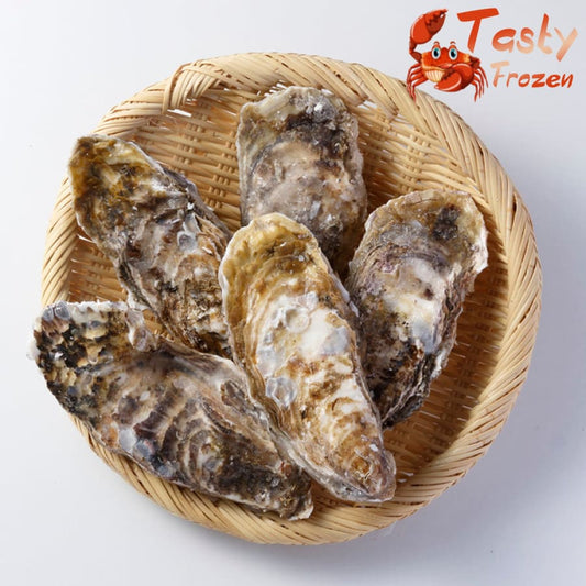 Japan Sashimi Grade Oyster 日本生食级别生蚝 (12pcs)
