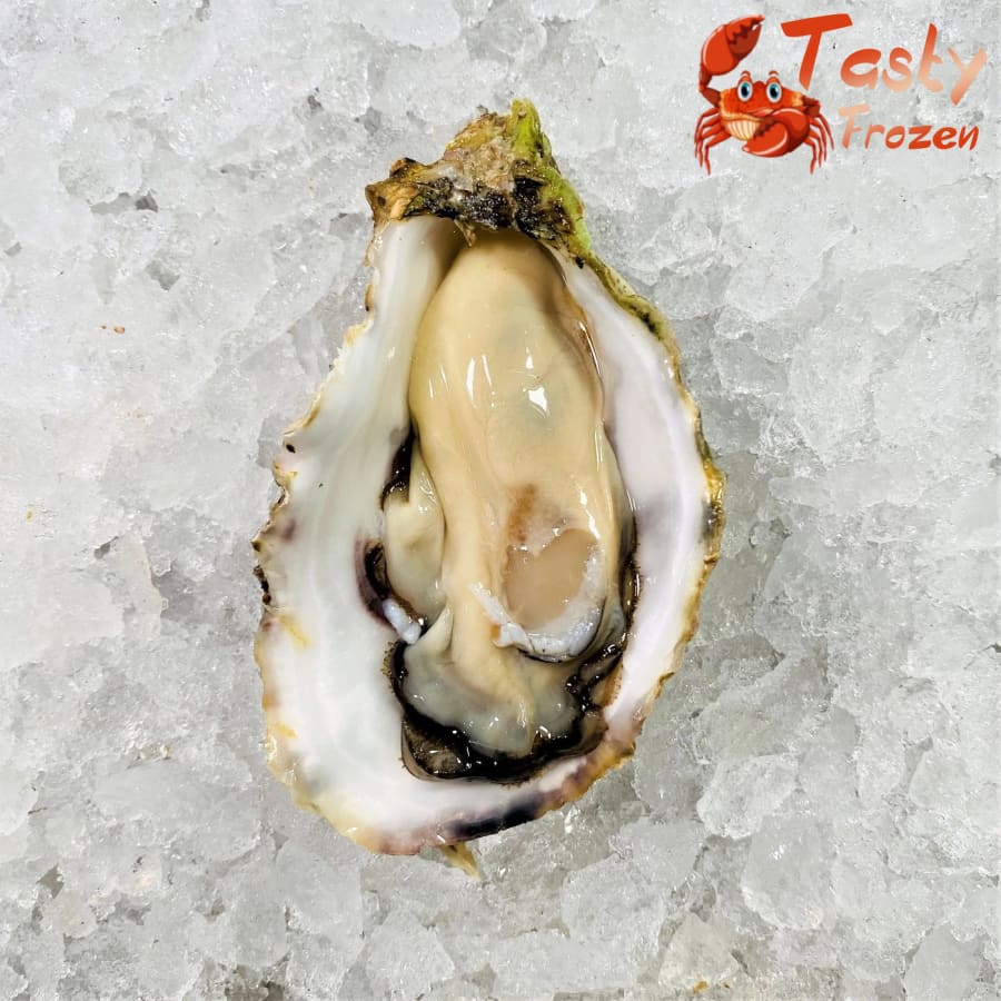 Japan Sashimi Grade Oyster 日本生食级别生蚝 (12pcs)