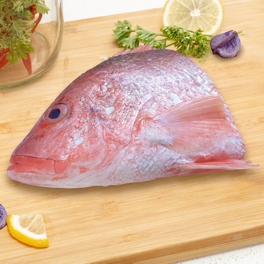 Red Snapper Fish Head 红皂鱼头