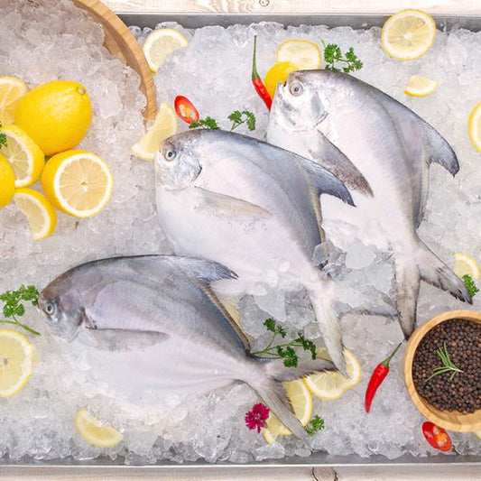 White Pomfret 白鲳 (Whole Fish)