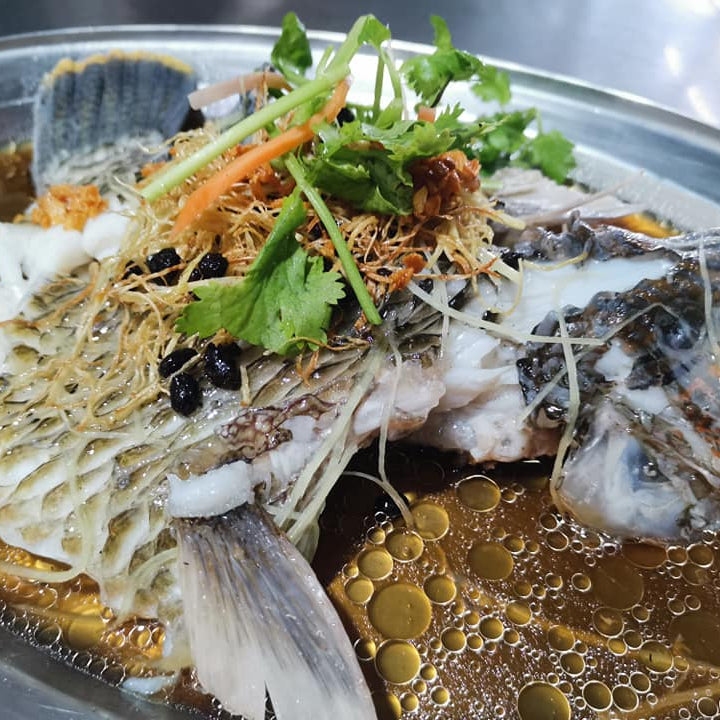 Su Mei Whole Fish 苏眉鱼 Sabah caught