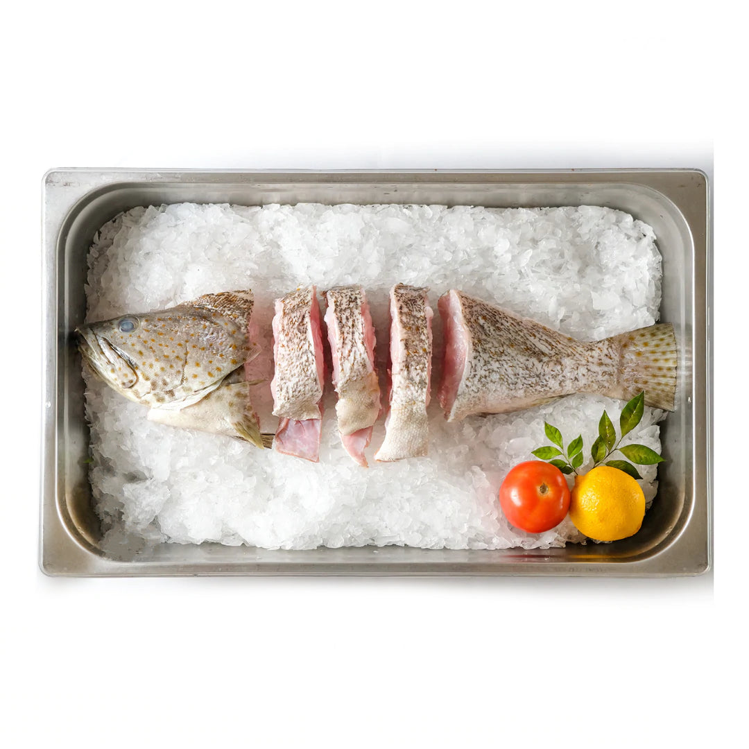 Local Grouper Parts 本地石斑鱼部位