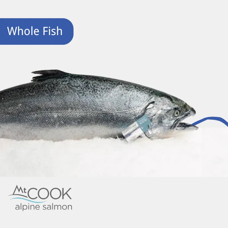 [PRE-ORDER] Sashimi Grade New Zealand King Salmon 刺身级纽西兰帝王鲑