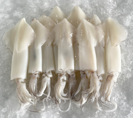 Cleaned Big Sotong 本地大苏东 (700g± nett)