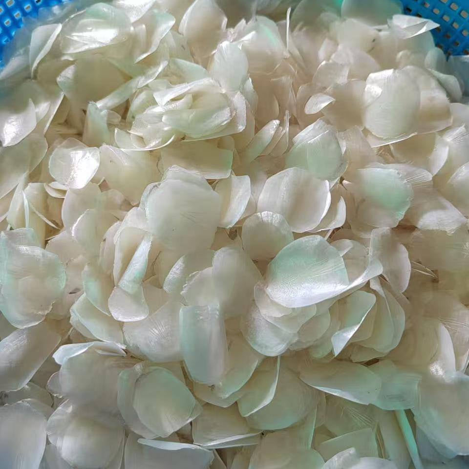 Frozen Fish Scale 冷冻鱼鳞 1kg±
