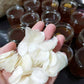 Frozen Fish Scale 冷冻鱼鳞 1kg±