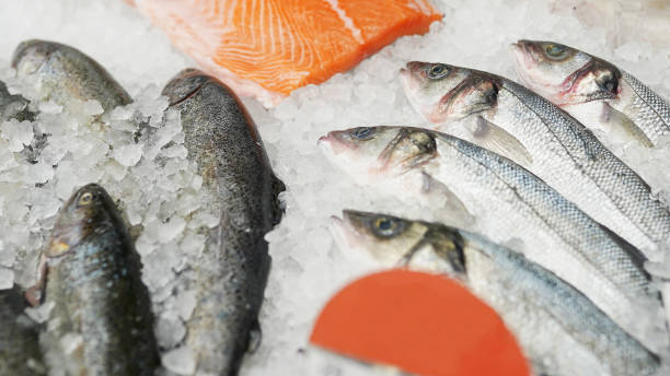 Tasty Frozen Delivered Right to Your Door. We Offer Fresh and Reasonable Price Seafood to You - Best Price in Online. Fresh and Frozen Seafood. Freshness of Food Guaranteed.
