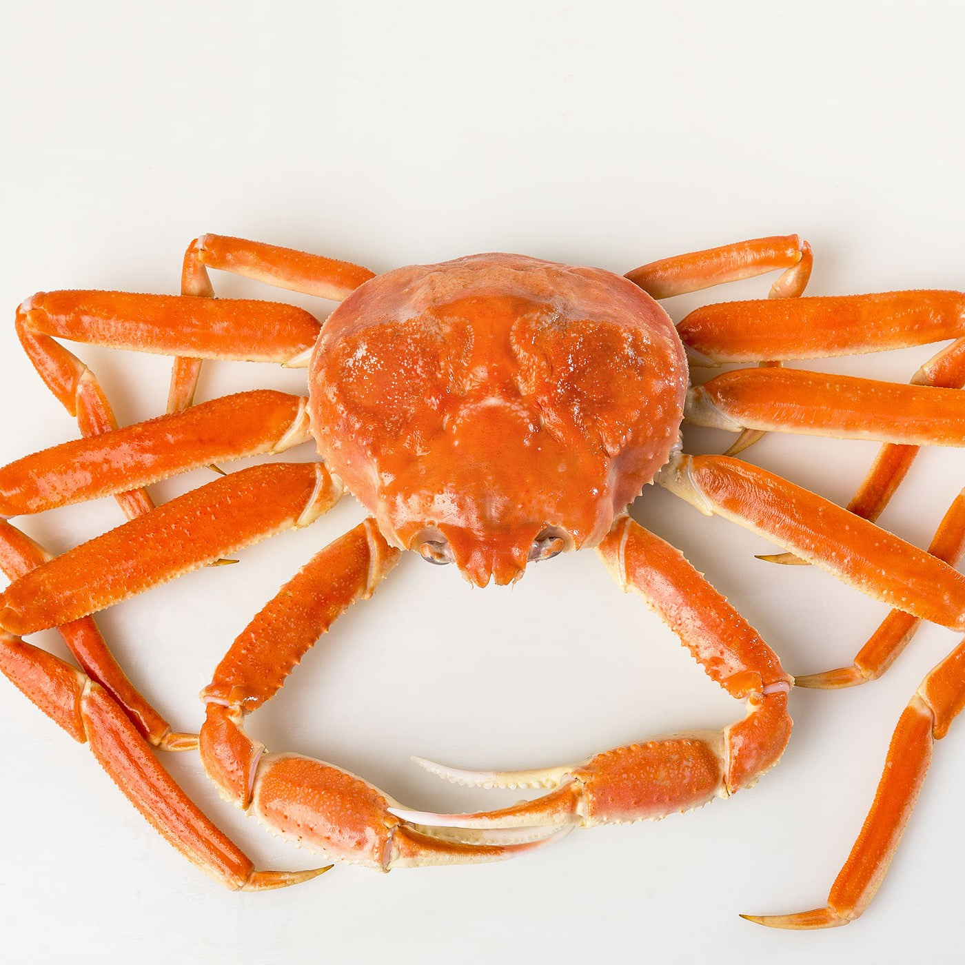 Snow Crab Sashimi Grade 松叶蟹(刺身级) 600/700g