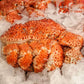 Chilean Snow Crab (400-600G) Fresh & Frozen Seafood