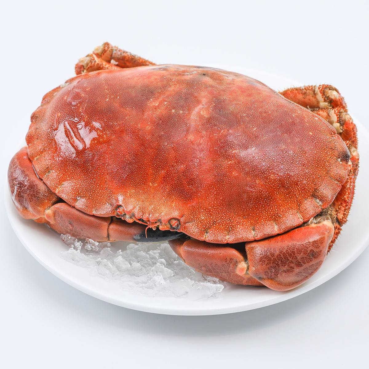 French Crab 面包蟹 800g-1kg