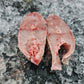 GL Grouper Fish Slice 石斑鱼块 (200-299g)