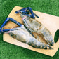 Frozen Scampi 大头虾 (U5 Grade) 200-300g