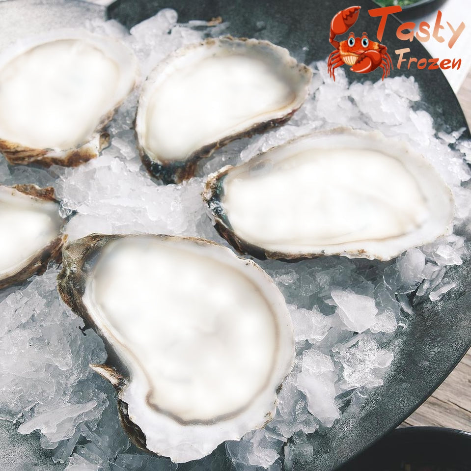 Half Shell Trade Half Shell Oyster 半壳生蚝 12pcs – Tasty Frozen Trading