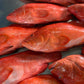 Sabah Tomato Grouper 沙巴红瓜子斑 (Whole Fish)