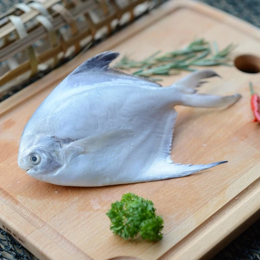 White Pomfret 白鲳 (Whole Fish)